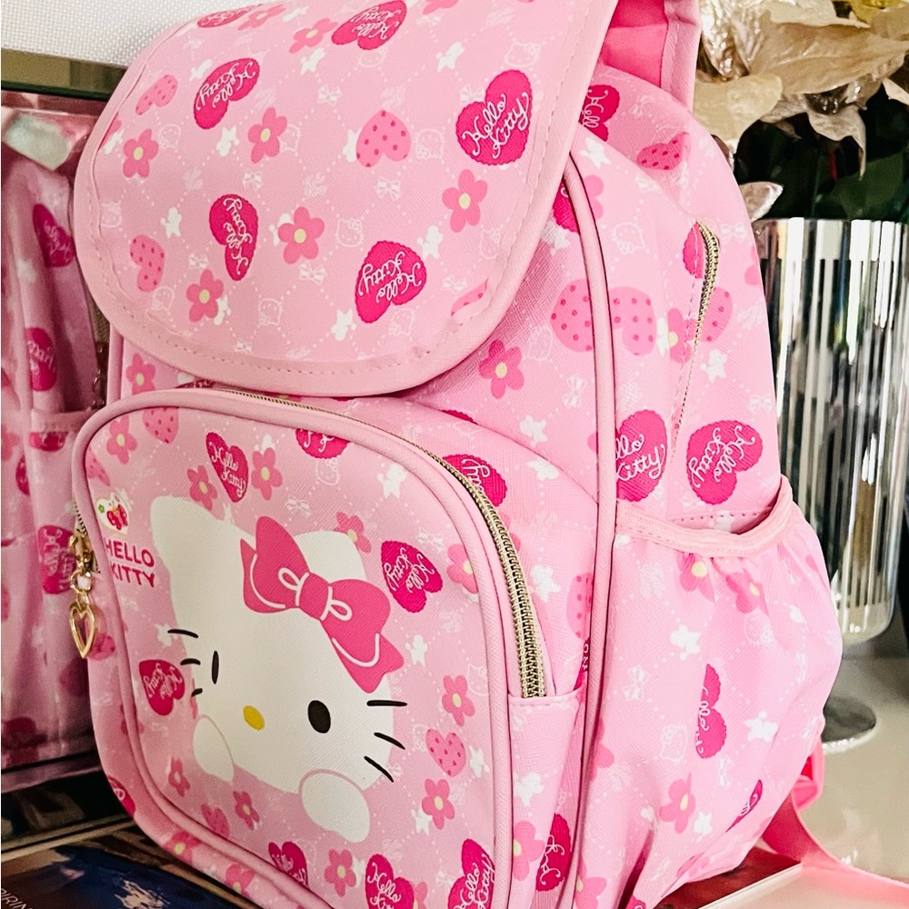 Hello kitty - Picture 3 of 15